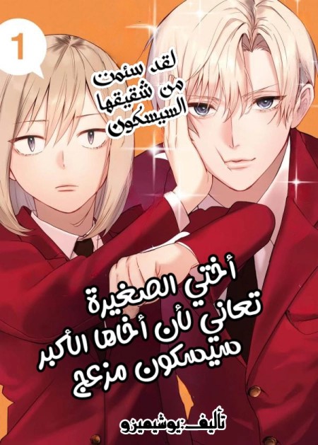 Imouto wa Siscon Ani ga Mendokusai الفصل 17 مترجم